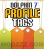 Profile Tags