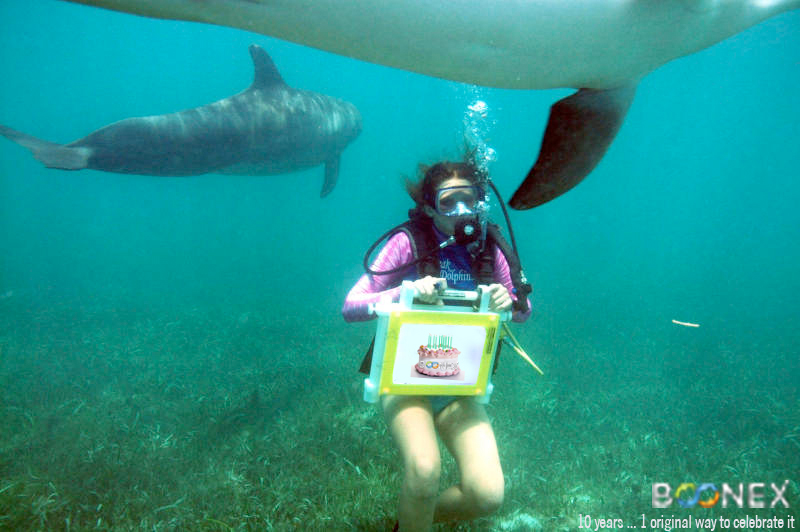 ?action=download&hash=iKGEPLXbpk