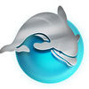 DolphinGeeks