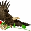 EagleRose