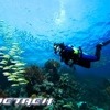 divetrek